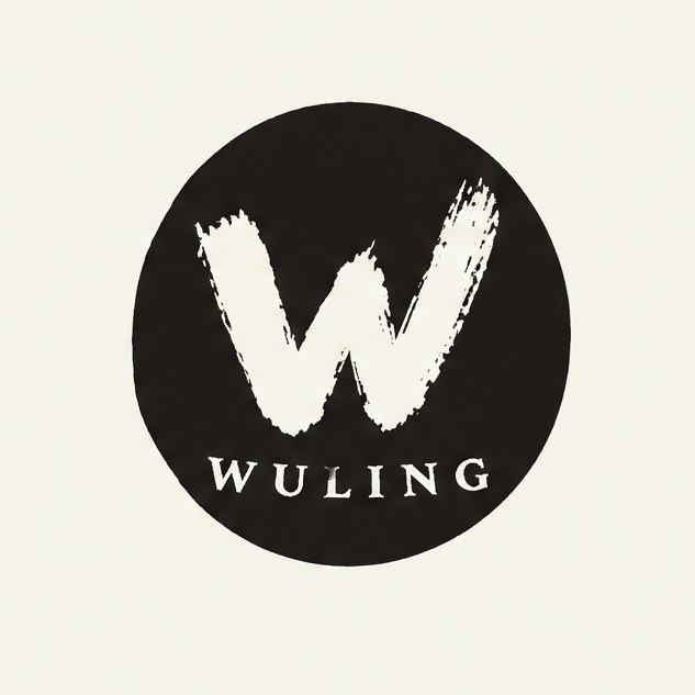雾岭. 黑底徽章，里面是一笔刷出来的 W。